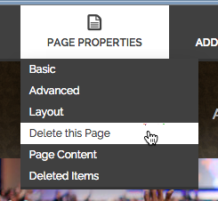 Deleting the page.