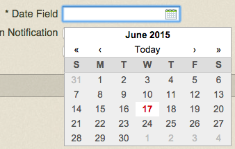 Date Field