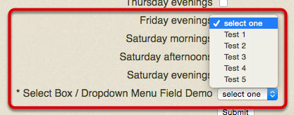 Select Box / Dropdown Menu Field