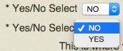 Yes/No Select
