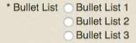 Bullet List