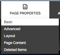 Open Basic Page Properties